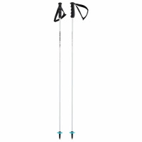 Kije narciarskie HEAD WorldCup Rebels Carbon SL