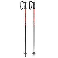 Kije narciarskie dziecięce LEKI Rider Kids